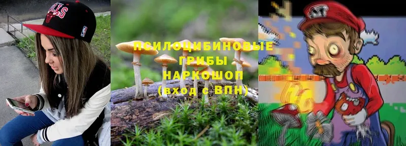 Галлюциногенные грибы Cubensis  купить наркотики сайты  Карасук 